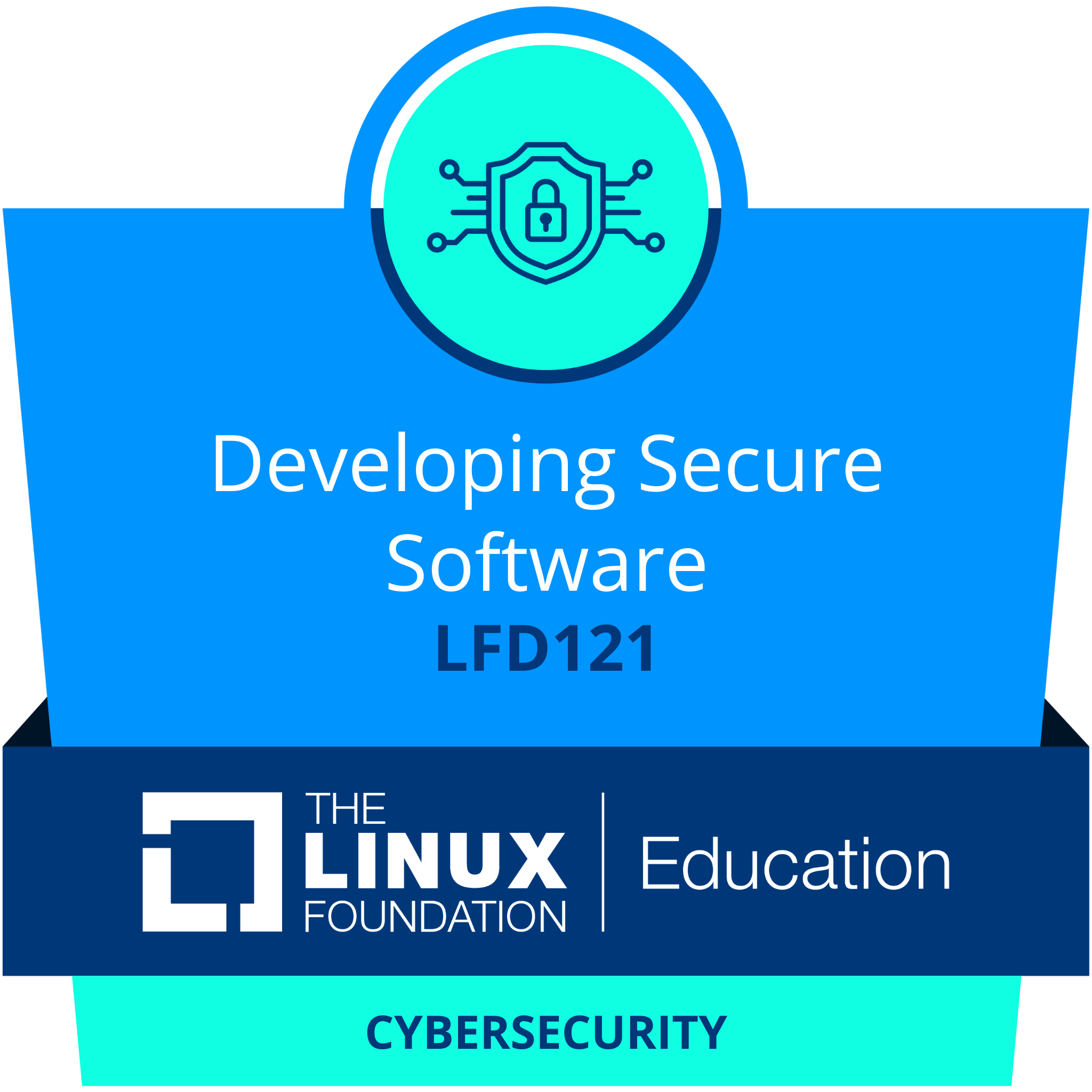 Secure Software Development
